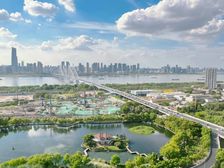 武昌徐家棚地铁口 悦江中心 单价9千出售