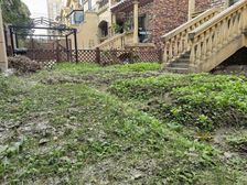 东区别墅 带地下室 边套 三面花园 送露台