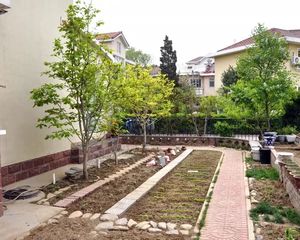 龙城租售专家!边户型!龙城花园小联排.花园160平