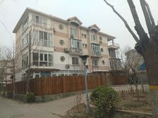 急急急!龙城租售专家!龙城S区上叠拼 带阁.楼70平