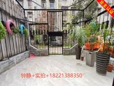 本人实拍+颜值好房+100万装修拎包入住+全明户型+格局很好