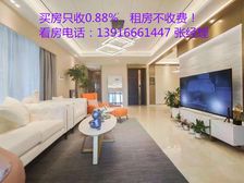 陆家嘴次新小区,高端社区,人车分流,管家式服务,豪华大三房!