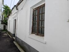 东山镇核心位置,三间平房带院,适合养老度假