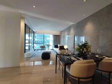 新出 南向CBD景观繁华 北向观大S馆享受绿意 国贸CBD