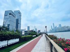 琶洲西区电商总部 首排江景 24H空调 300-2000方