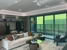 总高6层电梯洋房 小区中间 50万全新现代精装 人车分流