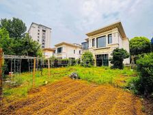 独栋豪宅 金科.王府 环绕200平花园 位置安静 房主急售