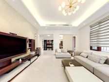 金科.王府 独栋别墅 全新装修 环绕大花园 房东急售