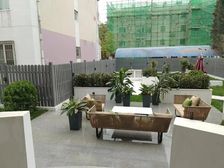 急急急!真图实.价!院260平!龙城w区 一层 新装修