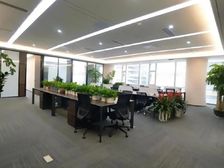 中洲大厦 800平 VR实拍! 电梯口单位 精装修 高层景观