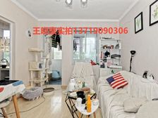 石化生活区 近文冲地铁200米 总价60W 外地可买 赠8平