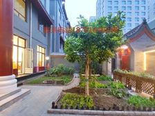 国贸大望路四惠东 顶层 可做饭 享受房租通补贴