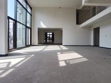 龙湖舜山府大独栋别墅 花园1000平 单纯面300平