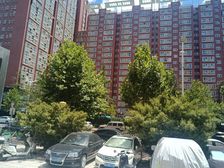 金海国际商务中心 临街底商适合 宠物 美甲 理发