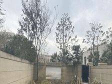宝华源墅 使用面积600平 花园150平