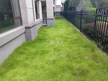 三面采光前后花园有车位 兴进漓江郡府 七星区解放桥 临江路