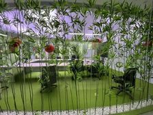 〖广渠路产业园〗配套齐全80工位办公室双桥塞隆创意园交通便利