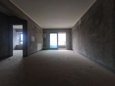 业主急售 南滨路纯洋房 铂悦澜庭142W