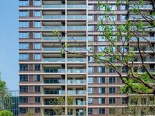 (首付1万买3房)杨家坪+万象城,7龙珠1外,轻轨站200米