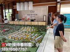 海南自贸港 海口《绿城桃李春风别墅》133㎡精装 花园别墅