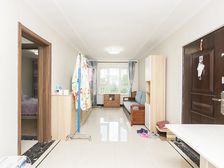 (特价)习武话金安桥新房精装 随时过户