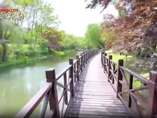 花2千万装修临河占地约2亩半2015年红庐2期