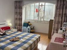 新上一室一厅一卫精装修满5年税费少