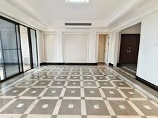 天府一街西派板式大平层 业主一天都没住过 满五年 急售