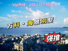 劲爆钜惠!立减300万!万科红树东岸别墅 情侣路上 户户观海