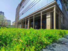 总部基地金茂广场万达广场对过整栋办公楼诺德中心地铁线