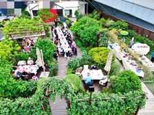 500万装修独栋 私房菜已经营5年 赠送1500露天花园