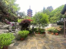 瑞丽苑盘门景区稀缺独栋别墅地面两层仅此一套看中本人实看过聊过