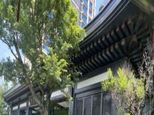 武地建发玺院70年产权安静舒适停车充足送花园