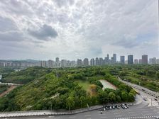 中央公园头牌,中交中央公园,豪装板式环幕大平层,2梯2户设计