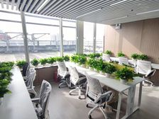 东三环 国贸丨团结湖丨呼家楼丨5人间办公室可注册丨1人办公起