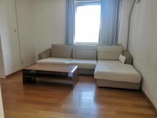 山师旁 历山路 小高层电梯房 中间楼层 精装两居室 随时可看