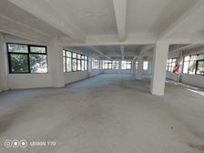 海珠燕岗近地铁 园林式办公独栋平层方可选