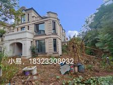 渝北 复地端户大联排 花园200平 带双车位 单层面积大推荐