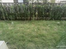 随时看房!前后院子!金地华著下叠别墅,地上两层,挑高地下室
