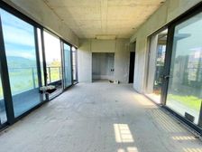 万科棠樾双拼别墅 田园风光 环境优美 放手垂钓 笑纳诗和远方