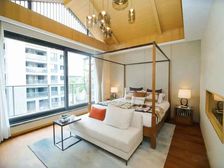 公寓的价格买景区联排,送180方地下室,送70方私家花园