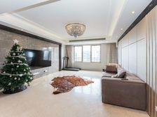 尚海湾豪庭(一期) 正南朝向 满五 电梯房 装修好