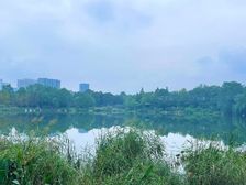 青羊浣花溪【精装电梯上叠】看河看公园,杜甫草堂旁