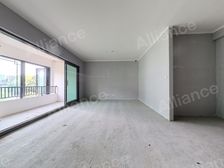 天府艺术公园内,金牛宾馆旁融创真洋房南北.通透