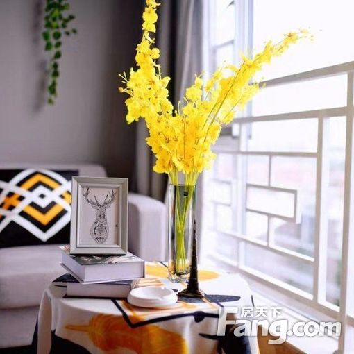 0中介直租!朝阳17号线通好房!地铁900米!小区房!月付!