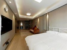 70年产权 金鸡湖环湖旅游 精装修景观房