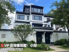 海南·海口东《绿城桃李春风》115平精装别墅 特价270万