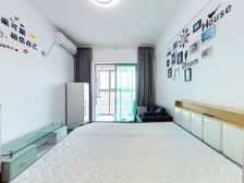 深圳必看小户型!新上精装修上车盘,精装修,桂园小学加红桂中学