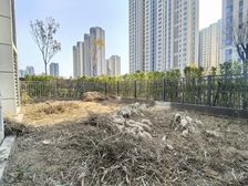 就一套!直降十二,一楼带大院子!正H户型,客厅朝阳,采光好!