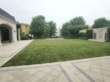 鲁信海曙云霞,占地8亩地,使用面积3500平,排全海景